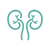 urologia